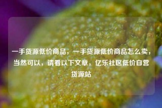 一手货源低价商品，一手货源低价商品怎么卖，当然可以，请看以下文章，亿乐社区低价自营货源站