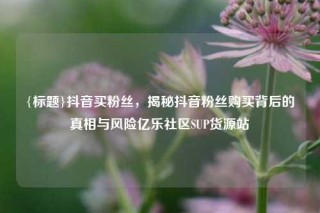 {标题}抖音买粉丝，揭秘抖音粉丝购买背后的真相与风险亿乐社区SUP货源站