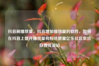 抖音刷播放量，抖音增加播放量的软件，如何在抖音上提升播放量和粉丝数量亿乐社区低价自营货源站