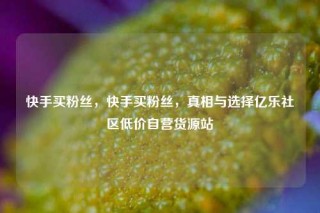 快手买粉丝，快手买粉丝，真相与选择亿乐社区低价自营货源站