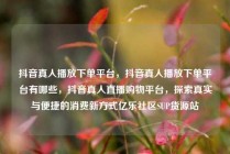 抖音真人播放下单平台，抖音真人播放下单平台有哪些，抖音真人直播购物平台，探索真实与便捷的消费新方式亿乐社区SUP货源站