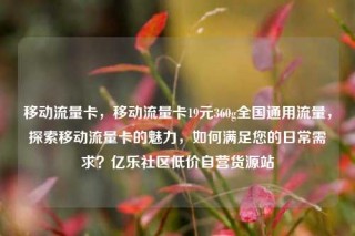 移动流量卡，移动流量卡19元360g全国通用流量，探索移动流量卡的魅力，如何满足您的日常需求？亿乐社区低价自营货源站