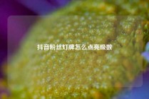 抖音粉丝灯牌怎么点亮级数