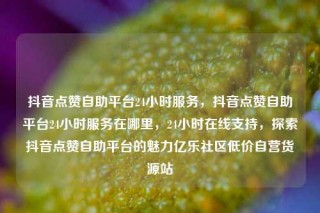 抖音点赞自助平台24小时服务，抖音点赞自助平台24小时服务在哪里，24小时在线支持，探索抖音点赞自助平台的魅力亿乐社区低价自营货源站