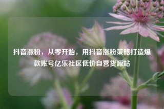抖音涨粉，从零开始，用抖音涨粉策略打造爆款账号亿乐社区低价自营货源站