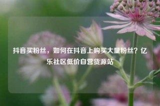 抖音买粉丝，如何在抖音上购买大量粉丝？亿乐社区低价自营货源站