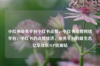 小红书业务平台小红书点赞，小红书点赞网络平台，小红书的点赞经济，业务平台的新生态亿乐社区SUP货源站