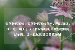 玖伍社区系统，玖伍社区系统官方，当然可以。以下是一篇关于玖伍社区系统的文章标题和内容示例。亿乐社区低价自营货源站