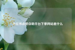 小红书点赞自助平台下单网站是什么