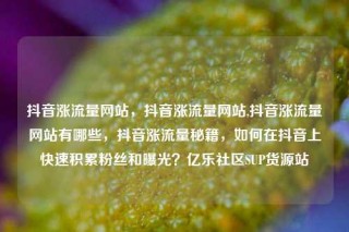 抖音涨流量网站，抖音涨流量网站,抖音涨流量网站有哪些，抖音涨流量秘籍，如何在抖音上快速积累粉丝和曝光？亿乐社区SUP货源站