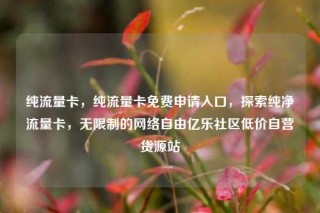 纯流量卡，纯流量卡免费申请入口，探索纯净流量卡，无限制的网络自由亿乐社区低价自营货源站