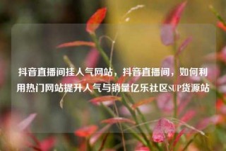 抖音直播间挂人气网站，抖音直播间，如何利用热门网站提升人气与销量亿乐社区SUP货源站