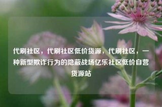 代刷社区，代刷社区低价货源，代刷社区，一种新型欺诈行为的隐蔽战场亿乐社区低价自营货源站