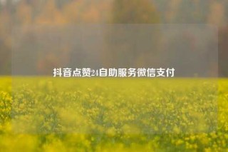 抖音点赞24自助服务微信支付