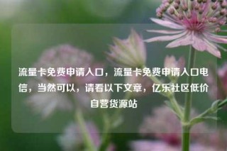 流量卡免费申请入口，流量卡免费申请入口电信，当然可以，请看以下文章，亿乐社区低价自营货源站