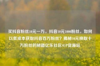买抖音粉丝10元一万，抖音10元1000粉丝，如何以低成本获取抖音百万粉丝？揭秘10元换取十万粉丝的秘籍亿乐社区SUP货源站