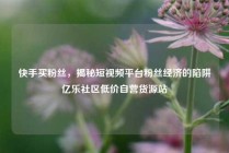 快手买粉丝，揭秘短视频平台粉丝经济的陷阱亿乐社区低价自营货源站