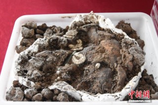 【何以中国 行走河南】走进河南永城王庄遗址  感受5000年前大汶口文化聚落的礼制内涵