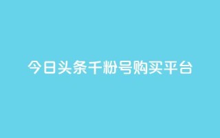 今日头条千粉号购买平台 - 解读今日头条千粉号购买平台，帮你实现粉丝加速增长~