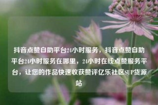 抖音点赞自助平台24小时服务，抖音点赞自助平台24小时服务在哪里，24小时在线点赞服务平台，让您的作品快速收获赞评亿乐社区SUP货源站