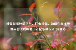 抖音刷播放量平台，打卡抖音，如何在刷播放量平台上脱颖而出？亿乐社区SUP货源站