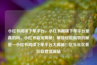 小红书阅读下单平台，小红书阅读下单平台是真的吗，小红书新宠揭秘！解锁轻松购物的秘密—小红书阅读下单平台大揭秘！亿乐社区低价自营货源站