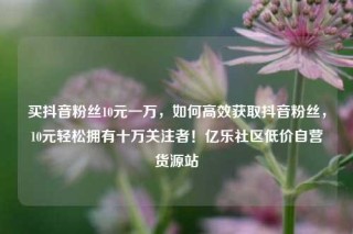 买抖音粉丝10元一万，如何高效获取抖音粉丝，10元轻松拥有十万关注者！亿乐社区低价自营货源站