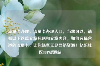 流量卡办理，流量卡办理入口，当然可以，请看以下这篇文章标题和文章内容，如何选择合适的流量卡，让你畅享无尽网络资源！亿乐社区SUP货源站