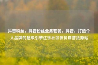 抖音粉丝，抖音粉丝业务套餐，抖音，打造个人品牌的超级引擎亿乐社区低价自营货源站