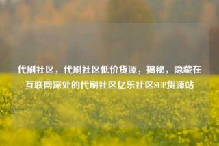 代刷社区，代刷社区低价货源，揭秘，隐藏在互联网深处的代刷社区亿乐社区SUP货源站