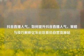 抖音直播人气，如何提升抖音直播人气，策略与技巧解析亿乐社区低价自营货源站
