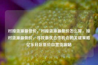 对接货源最低价，对接货源最低价怎么算，接对货源最低价，寻找最优合作机会的关键策略亿乐社区低价自营货源站