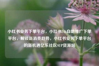 小红书业务下单平台，小红书24h自助推广下单平台，解锁新消费趋势，小红书业务下单平台的新机遇亿乐社区SUP货源站
