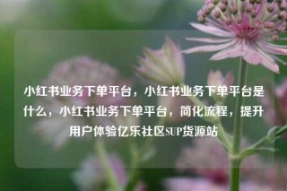 小红书业务下单平台，小红书业务下单平台是什么，小红书业务下单平台，简化流程，提升用户体验亿乐社区SUP货源站