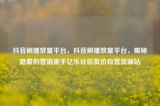 抖音刷播放量平台，抖音刷播放量平台，揭秘隐藏的营销黑手亿乐社区低价自营货源站