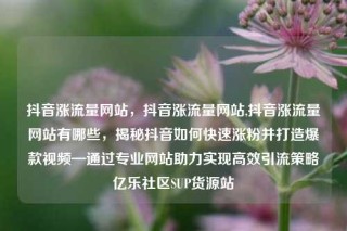 抖音涨流量网站，抖音涨流量网站,抖音涨流量网站有哪些，揭秘抖音如何快速涨粉并打造爆款视频—通过专业网站助力实现高效引流策略亿乐社区SUP货源站