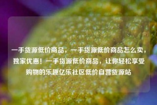 一手货源低价商品，一手货源低价商品怎么卖，独家优惠！一手货源低价商品，让你轻松享受购物的乐趣亿乐社区低价自营货源站