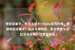 电信流量卡，电信流量卡19元200g官方办理，中国电信流量卡，连接无限网络，享受便捷生活亿乐社区低价自营货源站