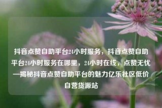 抖音点赞自助平台24小时服务，抖音点赞自助平台24小时服务在哪里，24小时在线，点赞无忧—揭秘抖音点赞自助平台的魅力亿乐社区低价自营货源站