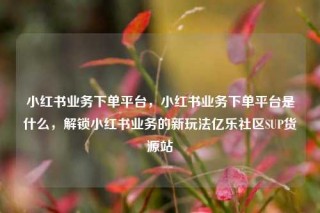 小红书业务下单平台，小红书业务下单平台是什么，解锁小红书业务的新玩法亿乐社区SUP货源站