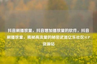 抖音刷播放量，抖音增加播放量的软件，抖音刷播放量，揭秘高流量的秘密武器亿乐社区SUP货源站