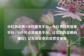 小红书点赞24小时服务平台，小红书任务接单平台，24小时点赞服务平台，让您的内容瞬间爆红！亿乐社区低价自营货源站