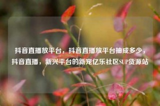 抖音直播放平台，抖音直播放平台抽成多少，抖音直播，新兴平台的新宠亿乐社区SUP货源站