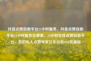 抖音点赞自助平台24小时服务，抖音点赞自助平台24小时服务在哪里，24小时在线点赞自助平台，您的私人点赞专家亿乐社区SUP货源站