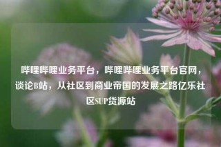 哔哩哔哩业务平台，哔哩哔哩业务平台官网，谈论B站，从社区到商业帝国的发展之路亿乐社区SUP货源站