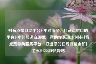 抖音点赞自助平台24小时服务，抖音点赞自助平台24小时服务在哪里，帮助你实现24小时抖音点赞自助服务平台—打造您的在线流量金矿！亿乐社区SUP货源站