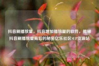 抖音刷播放量，抖音增加播放量的软件，揭秘抖音刷播放量背后的秘密亿乐社区SUP货源站