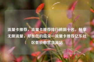 流量卡推荐，流量卡推荐排行榜前十名，畅享无限流量，尽在您的指尖—流量卡推荐亿乐社区低价自营货源站