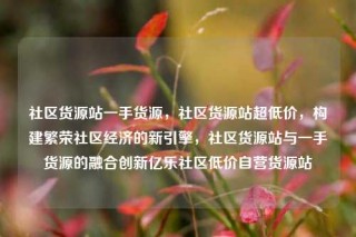 社区货源站一手货源，社区货源站超低价，构建繁荣社区经济的新引擎，社区货源站与一手货源的融合创新亿乐社区低价自营货源站