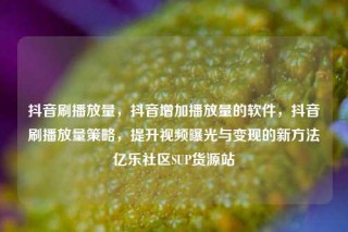 抖音刷播放量，抖音增加播放量的软件，抖音刷播放量策略，提升视频曝光与变现的新方法亿乐社区SUP货源站